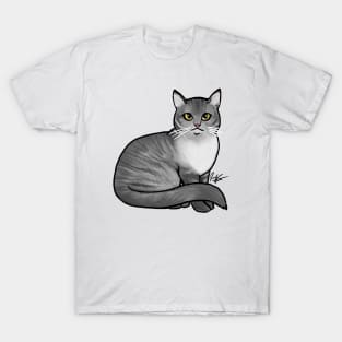 Cat - British Shorthair - Silver Tabby T-Shirt